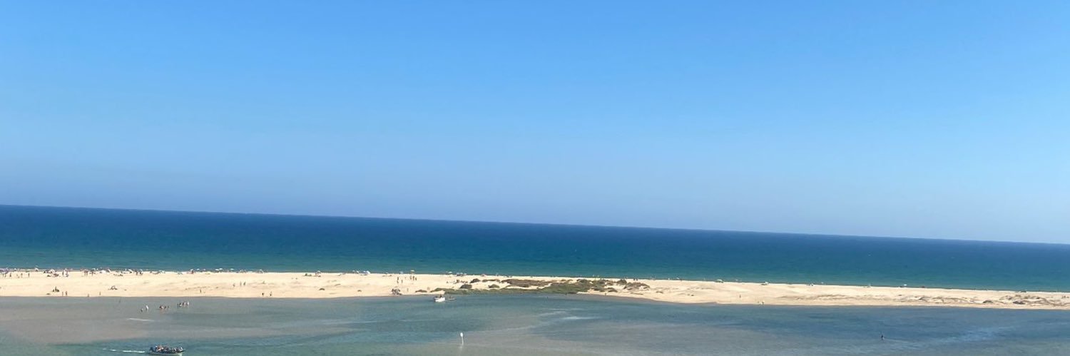 nmiguelrmoura's profile banner image