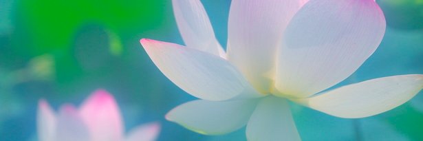 ラッキーだけで生きる banner