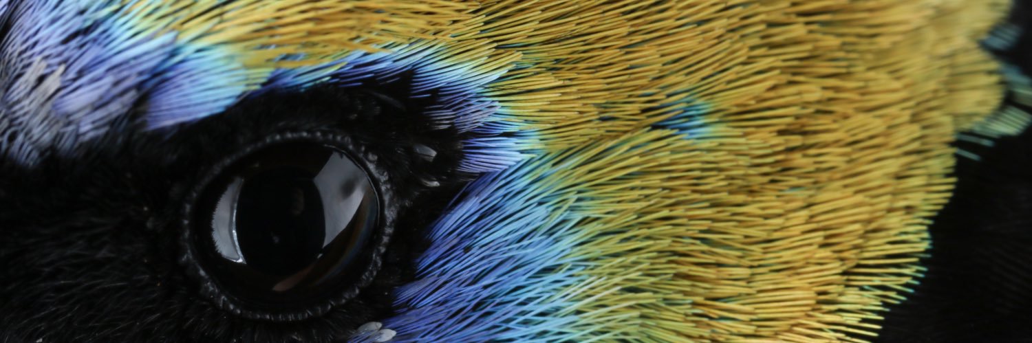 GourmetScience's profile banner image