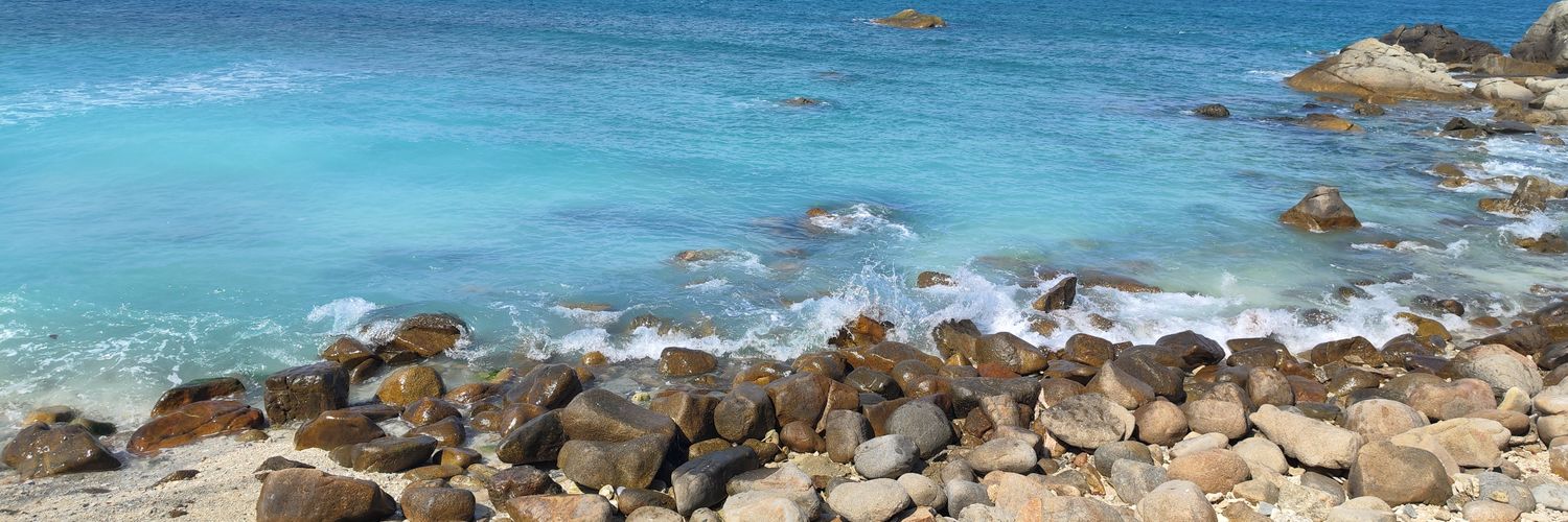 锅鱼菌Makiko banner