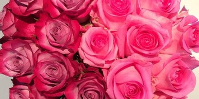 KellBellxo's profile banner image