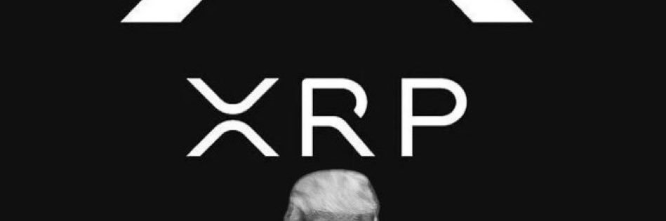 🥷🏼🦡XRP RATELS🥷🏼🦡's banner