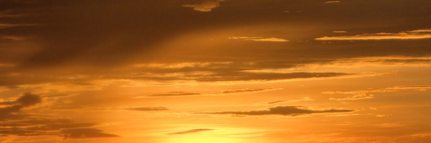 McCartneyTusha's profile banner image