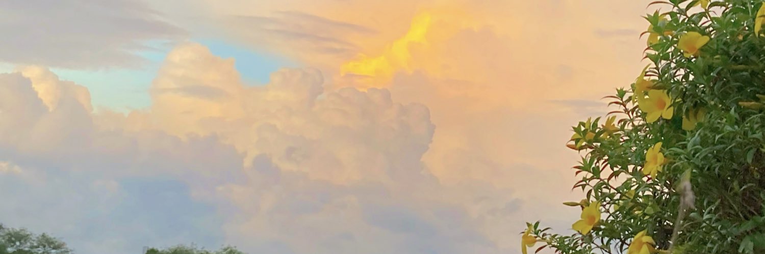 Lucía Pavía banner