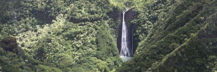 Ian “Meme” Malcolm banner