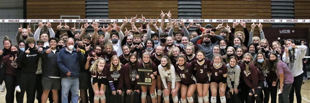 Moline Volleyball banner