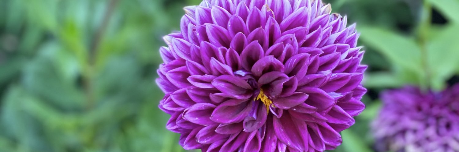 lp1069's profile banner image