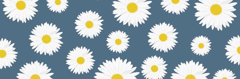 penniPR's profile banner image