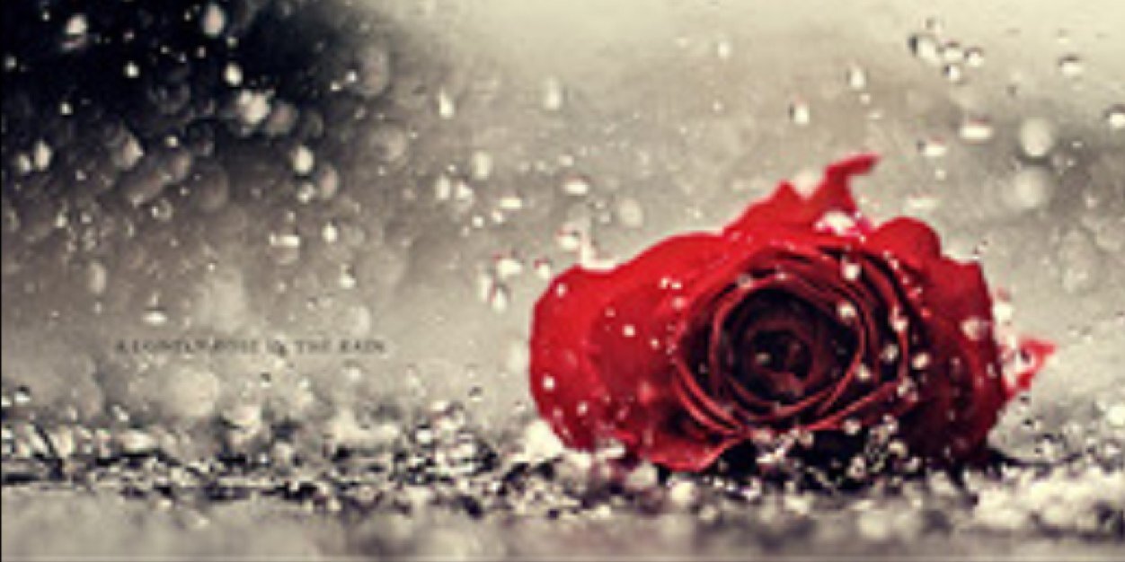 MinetteLeclerc's profile banner image