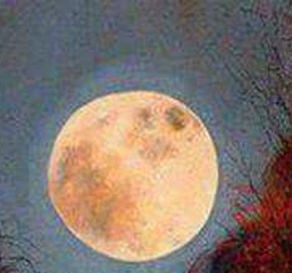 Buka_amsh's profile banner image