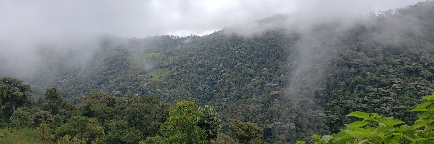 ENatureTours's profile banner image