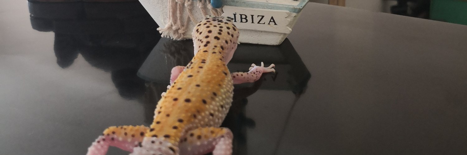 fadellee23's profile banner image