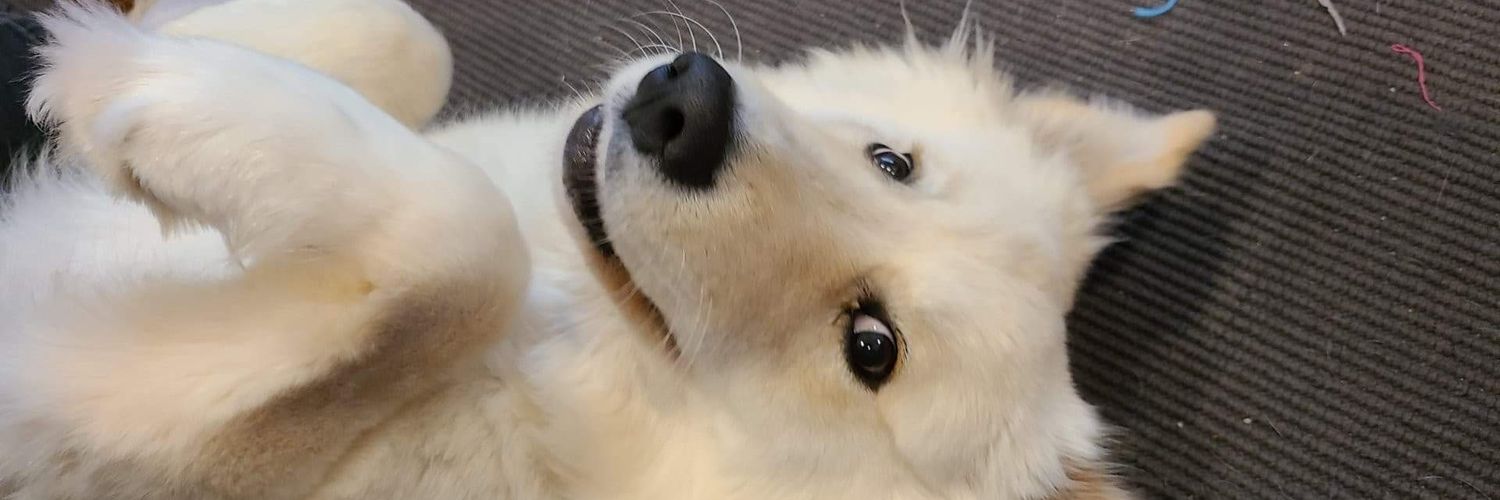 RammOCE's profile banner image
