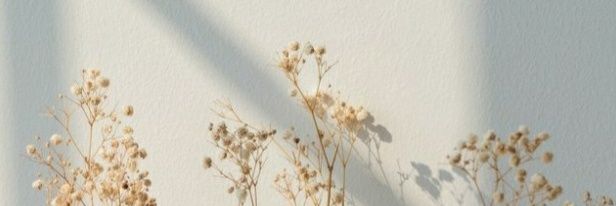 RiosCitlali's profile banner image