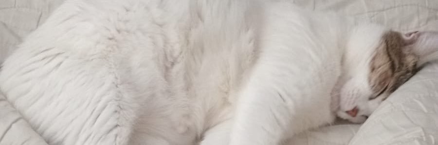 Ruhe_98's profile banner image