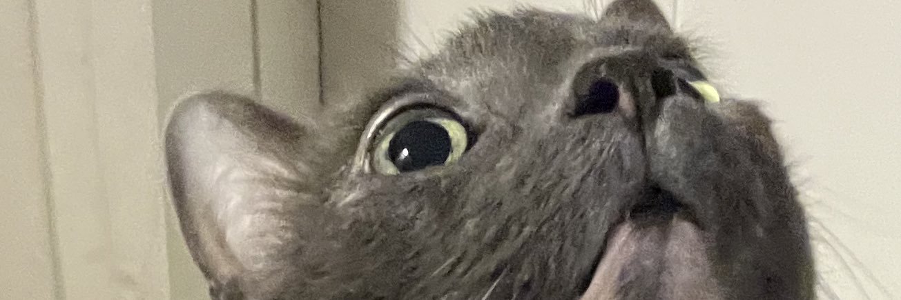 pIayingmantis's profile banner image
