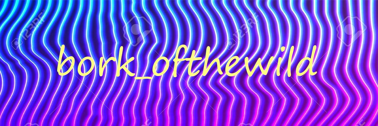 bork_ofthewild's profile banner image