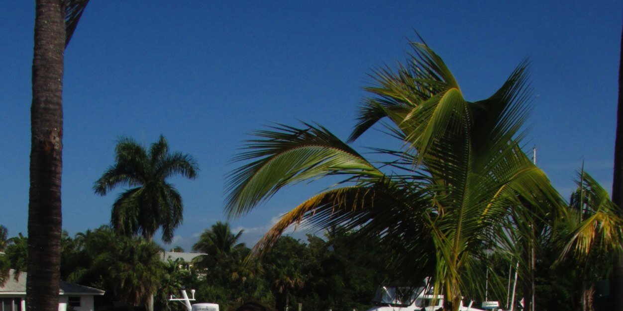 mixedmisfit's profile banner image