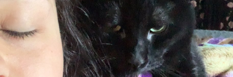 basicallyrachel's profile banner image
