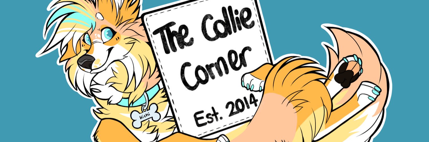 TheCollieCorner's profile banner image