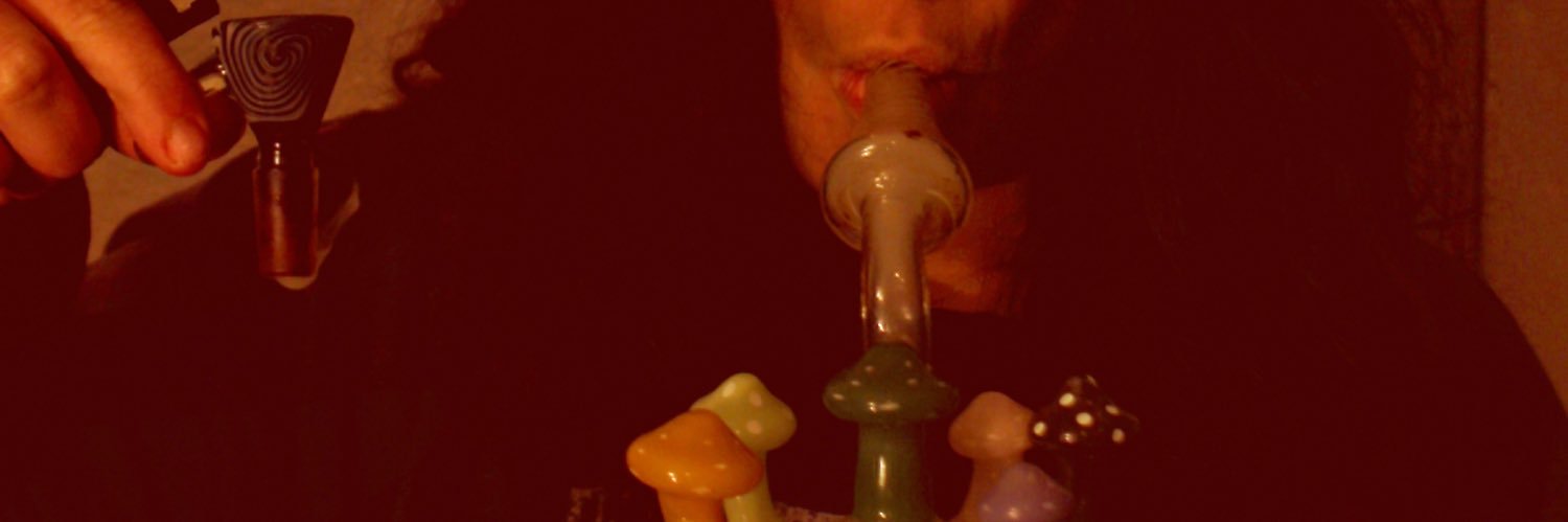 caseyadashek's profile banner image