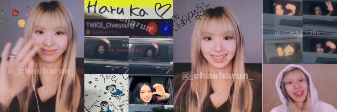 하루카0ᴥ0 banner