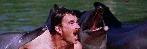 Chris_hnt's profile banner image