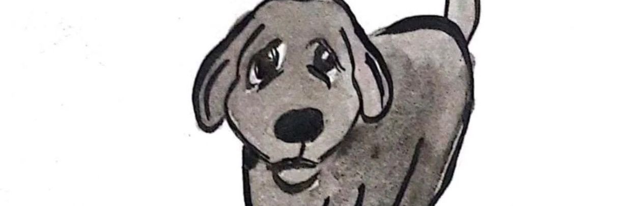 MaRcOs VaReLa banner