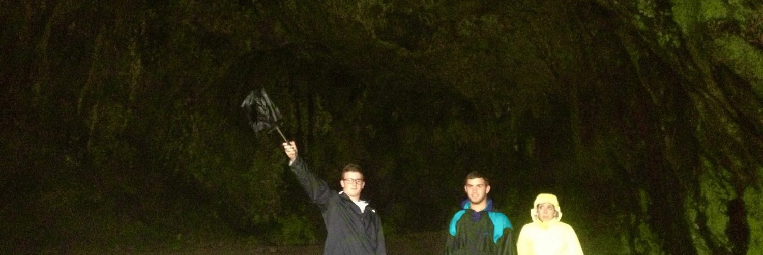 johntotheharris's profile banner image