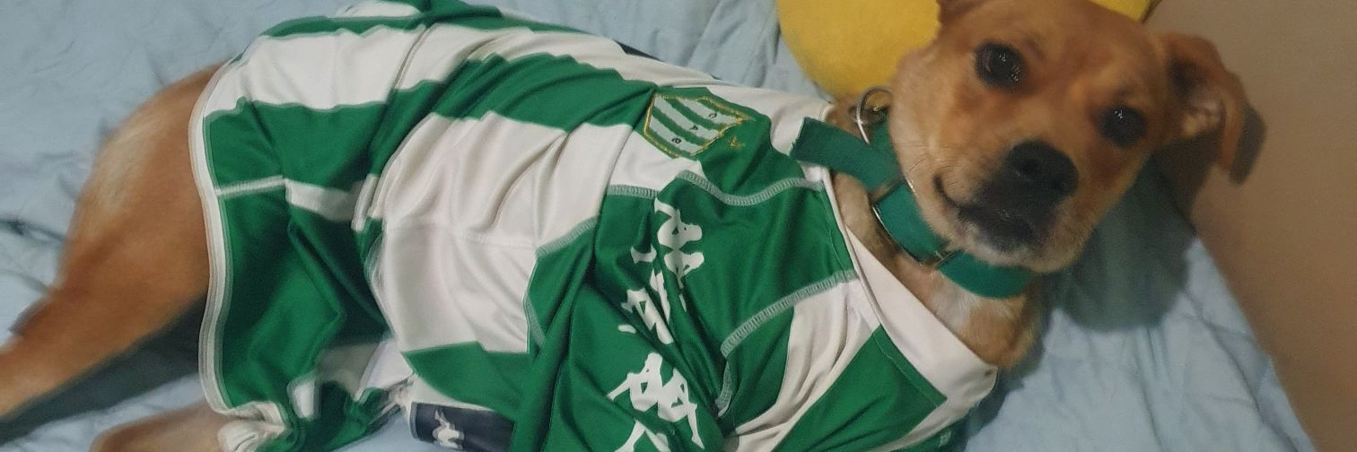 Lari 🇳🇬 banner