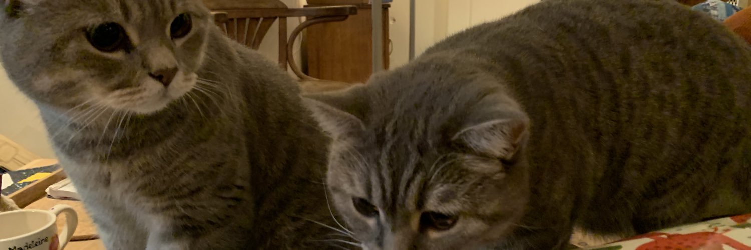 DrJonLove's profile banner image