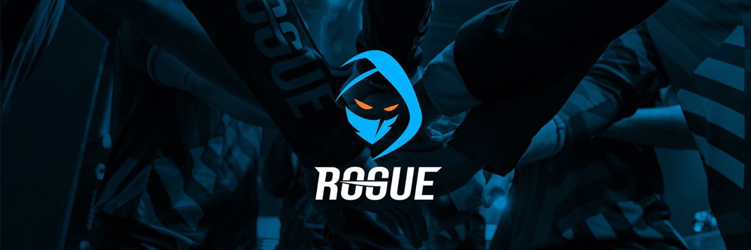 RGE SkeletonOP (Strongest Rogue Believer) banner