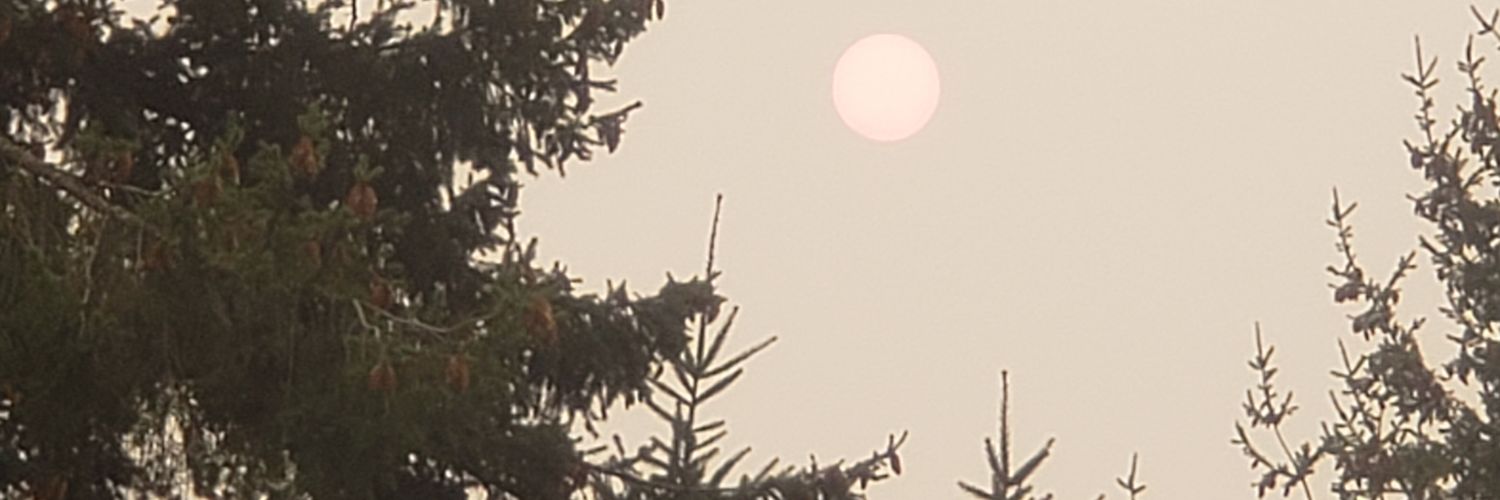 Michael20288340's profile banner image
