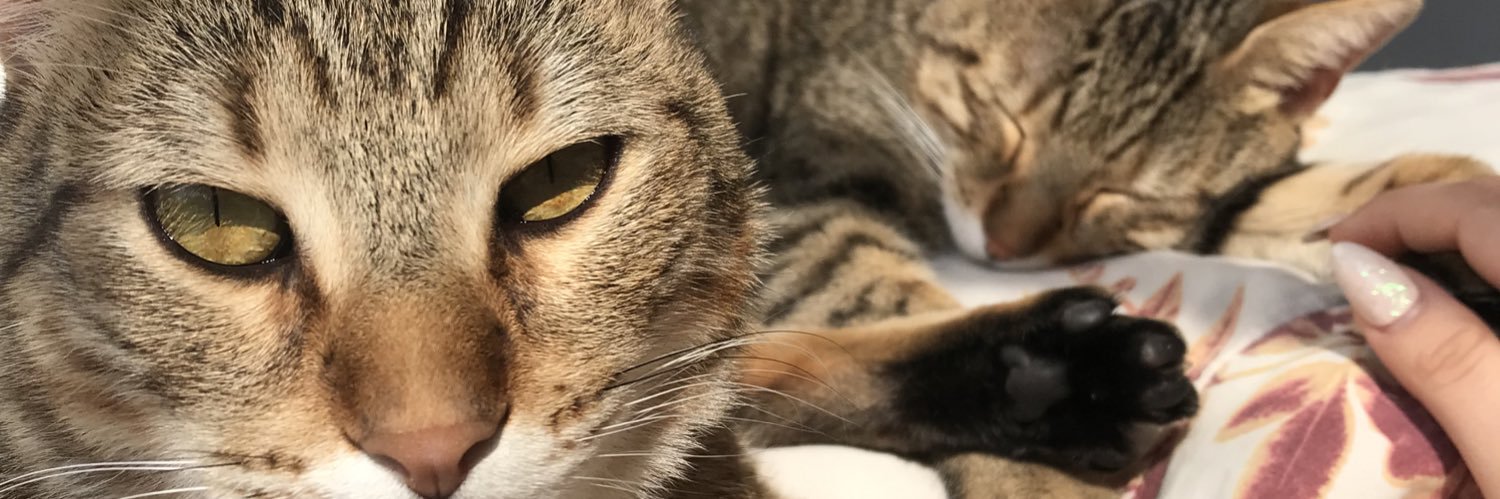 Jazapud's profile banner image