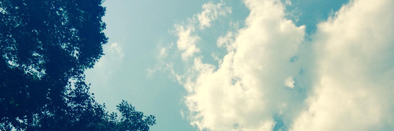 Samantha Stanton banner