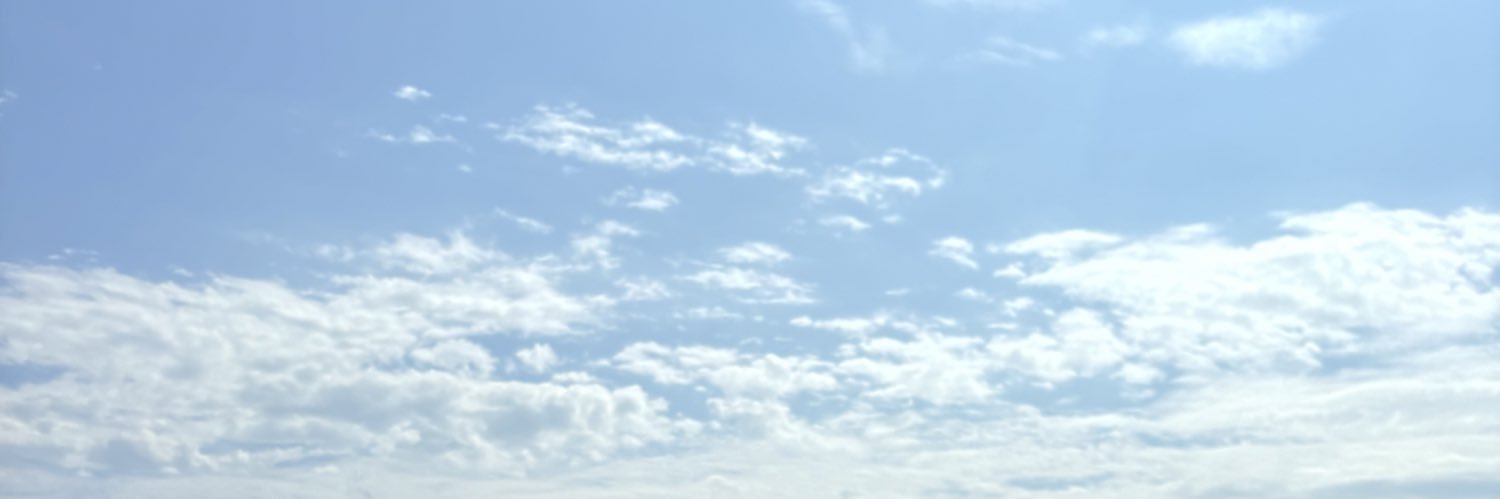 lenikorop's profile banner image
