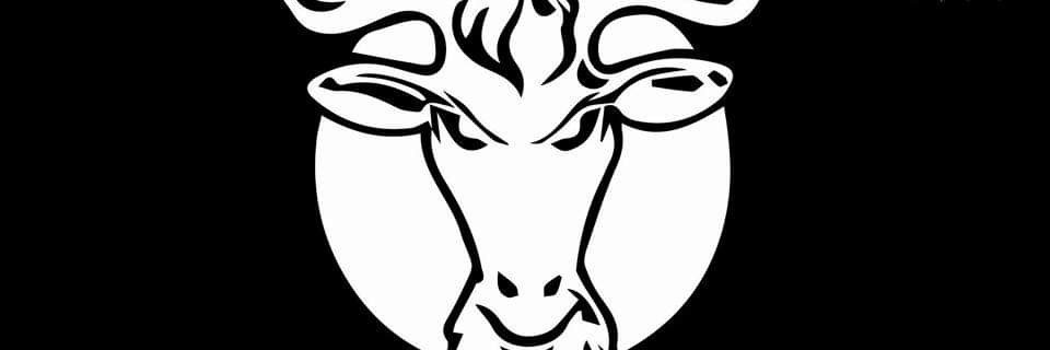 Casey | BeardedGoat banner