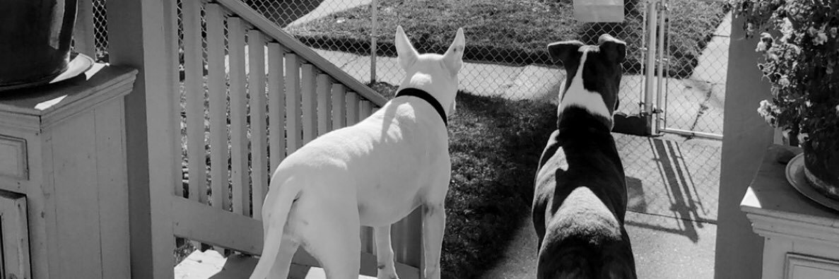 jellyr4's profile banner image