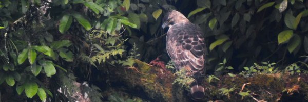 asmanraptor Profile Banner