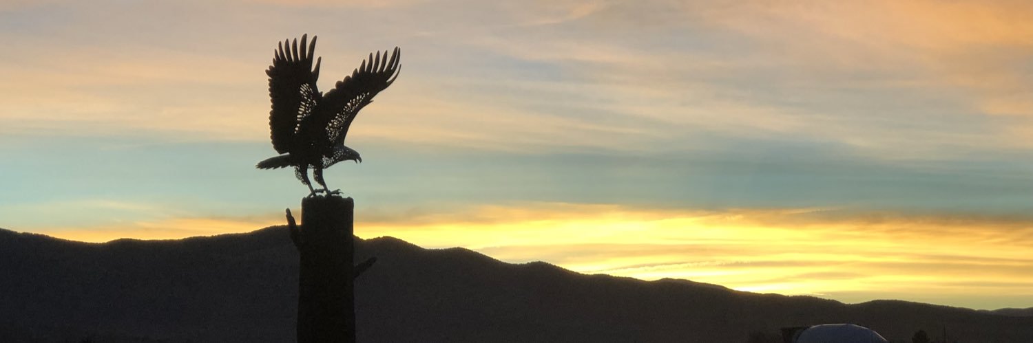 TeamBrandon775's profile banner image