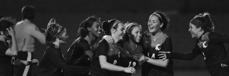 Hailey Lander banner