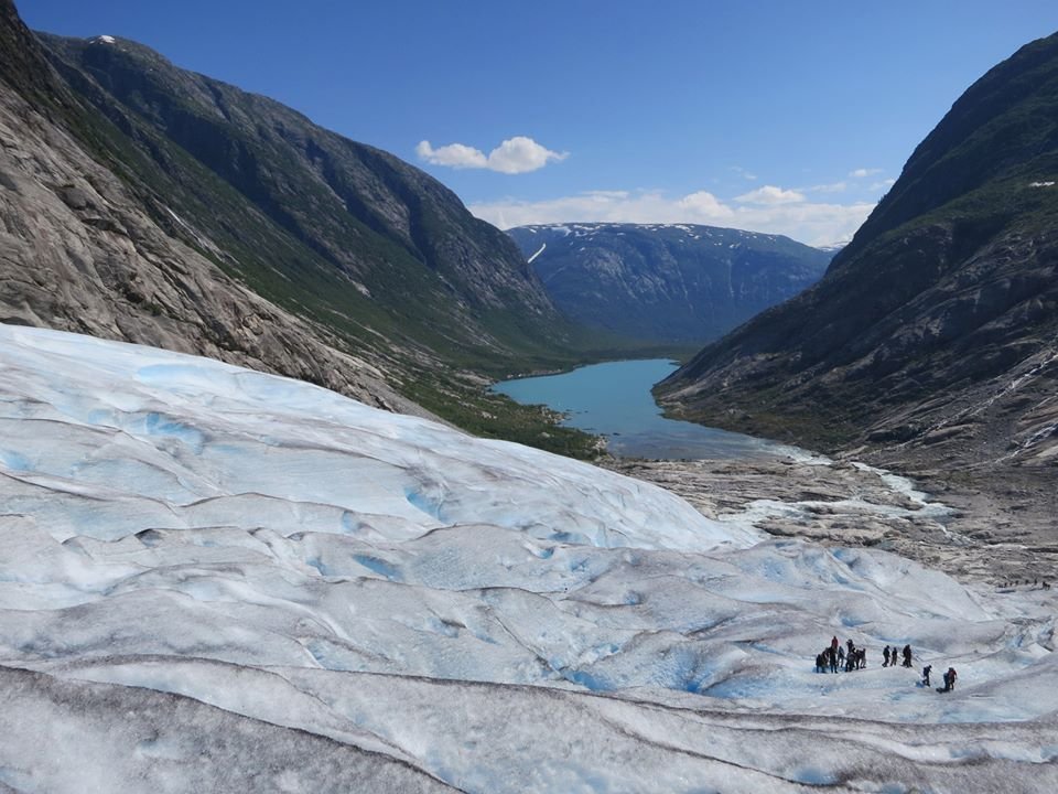 Nicole Kessler banner