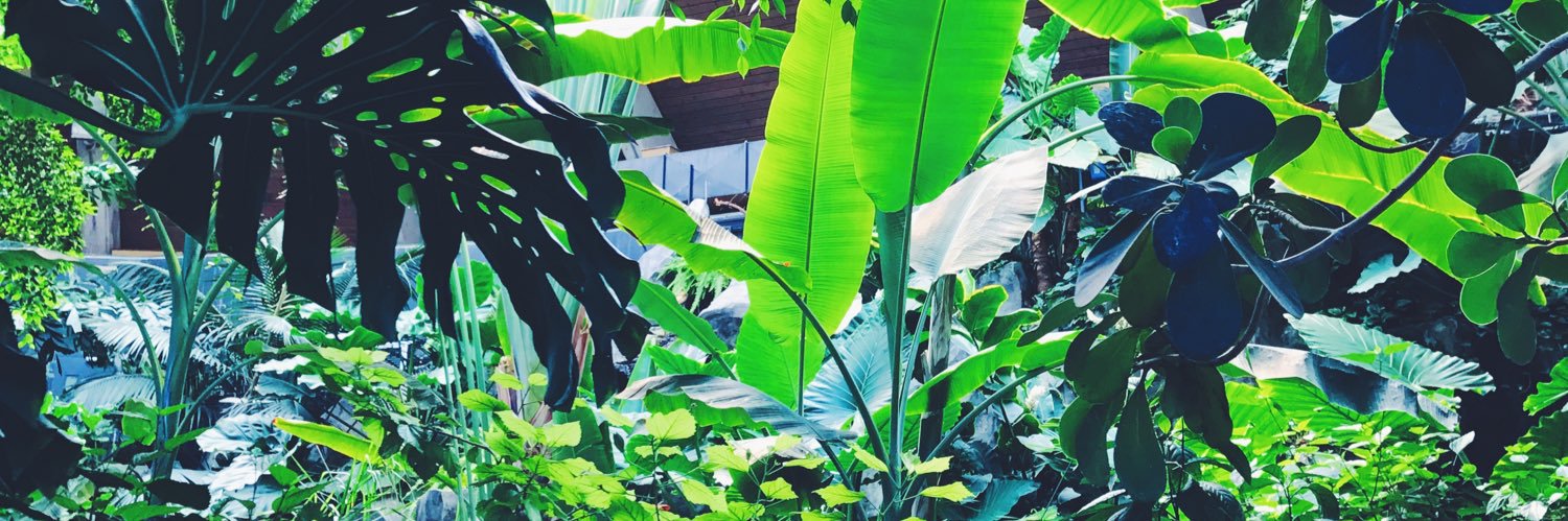 ChloeGerrard_'s profile banner image