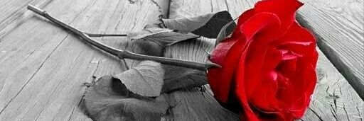 Brezo2209's profile banner image