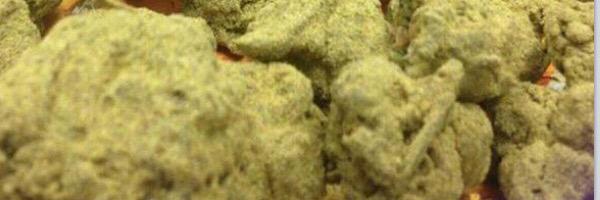 Tee_Style's profile banner image