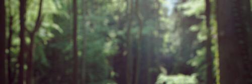 xonoor09xo's profile banner image