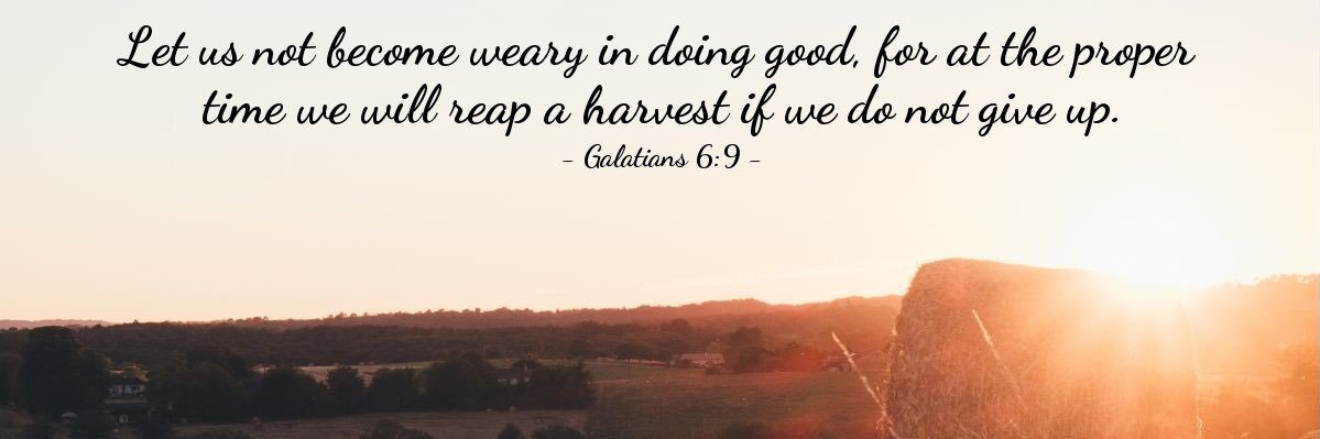 Joshua Knight banner