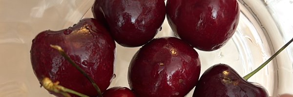 karnoir_ Profile Banner