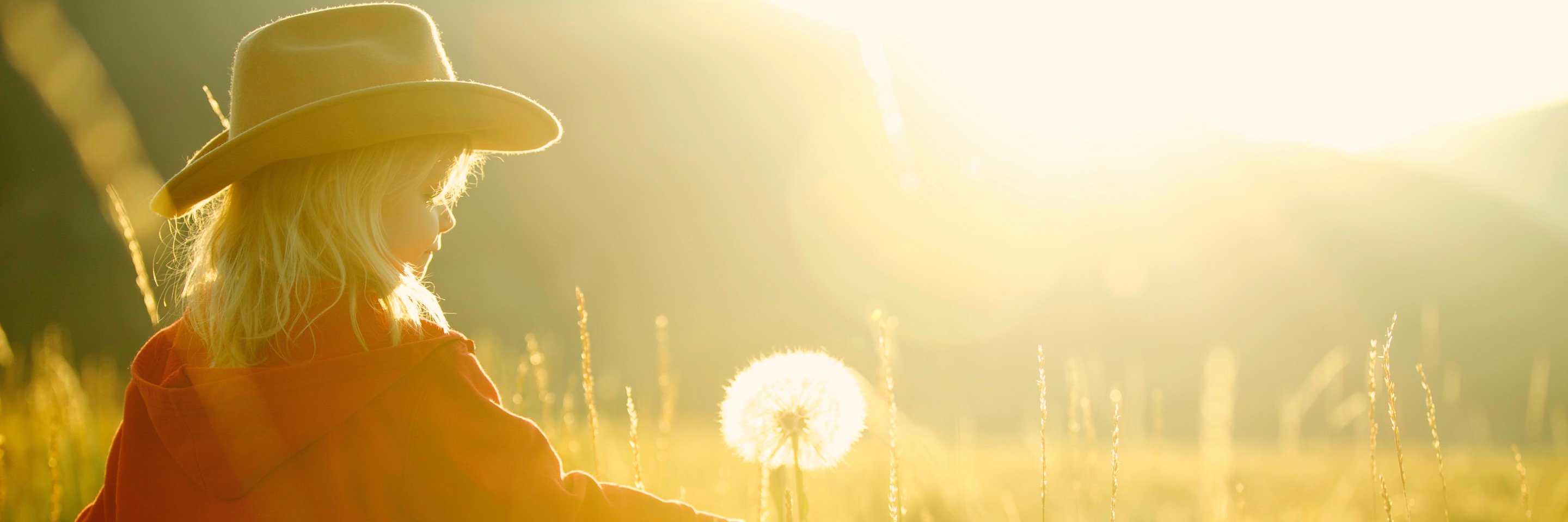 GabeMcCauley's profile banner image