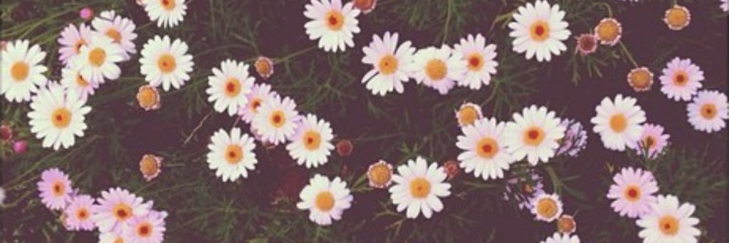 SaylorSidney's profile banner image
